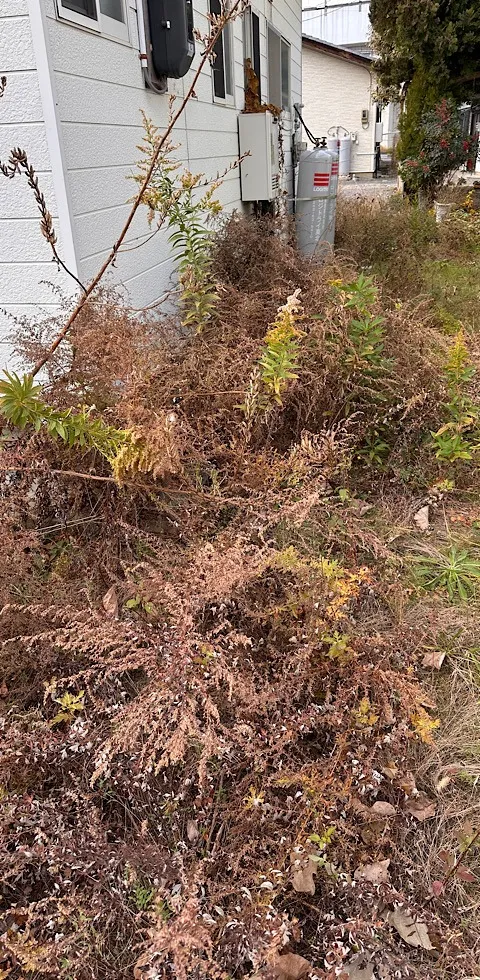 12月のお客様 お庭の草刈り