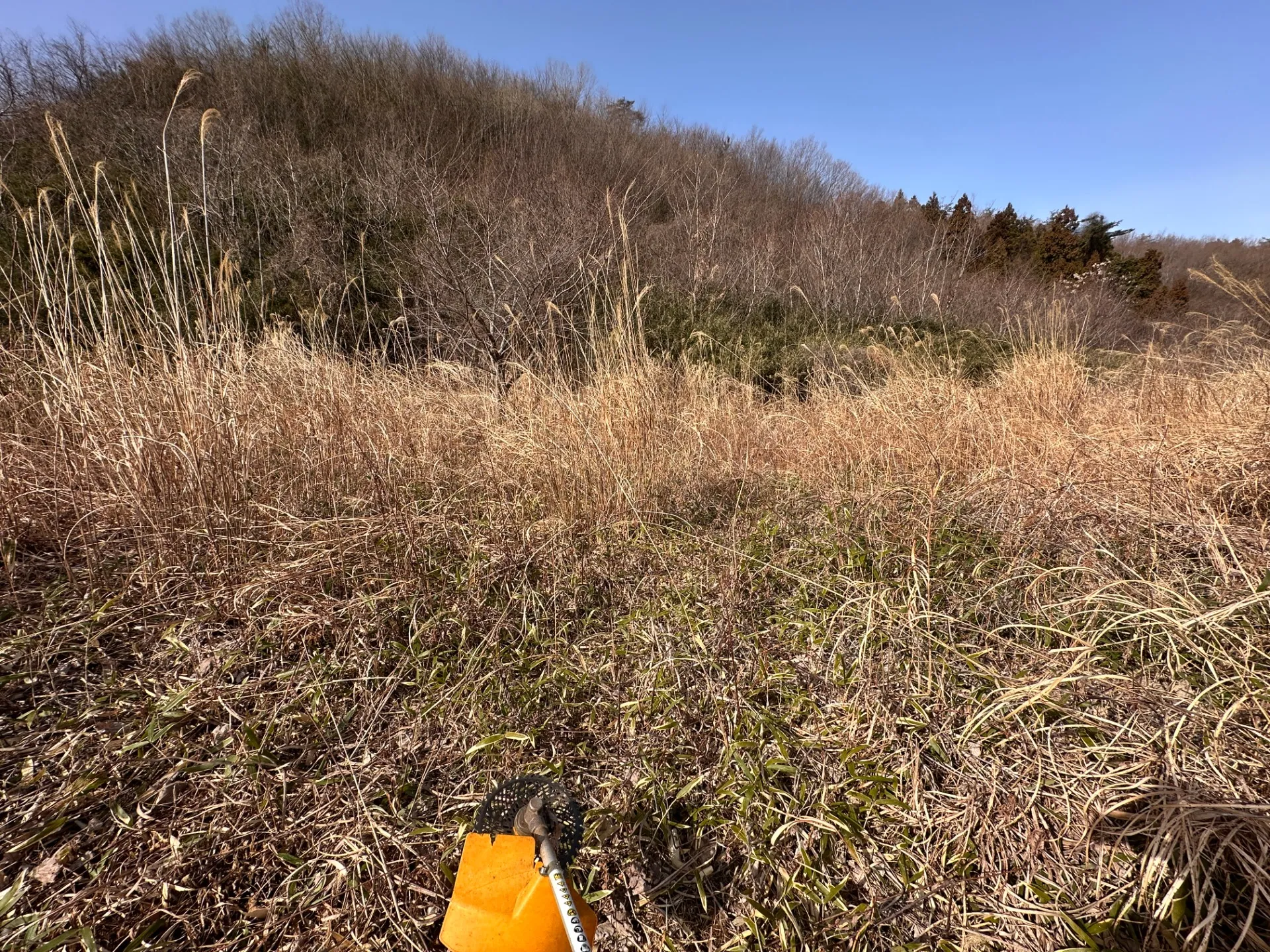 広大な空き地の草刈り作業|放置された土地もスッキリ安全に管理