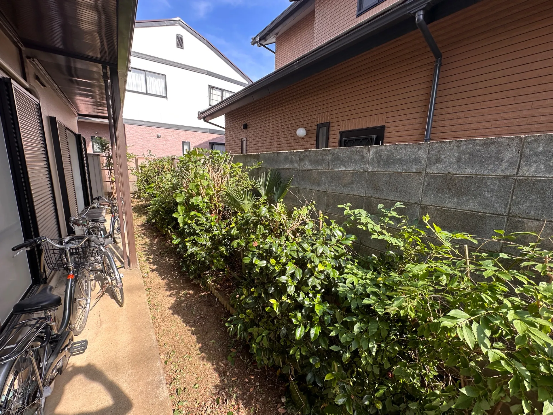福島市の庭木剪定事例